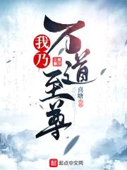 我乃万道至尊封面