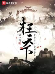 枉天下封面