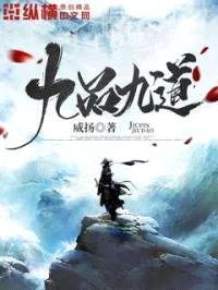 九品九道封面