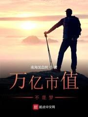 万亿市值不是梦封面