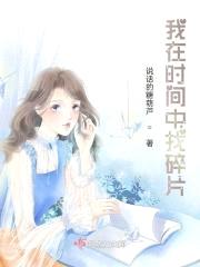 我在时间中找碎片封面