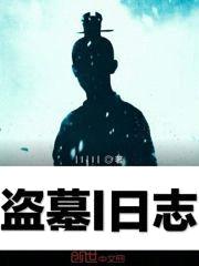 盗墓I日志封面
