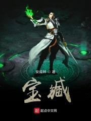 宝臧封面