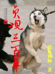 贞观三百年封面