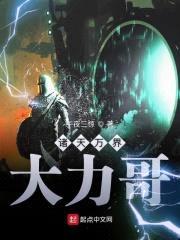 诸天万界大力哥封面