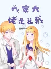 我家大佬是总裁封面