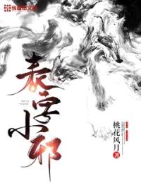 表字小邪封面