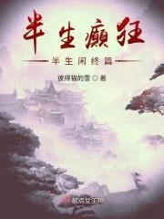 半生癫狂半生闲封面