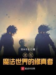 混在魔法世界的修真者封面
