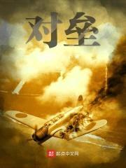对垒封面