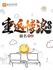 我的博浪人生封面