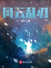 风云乱刃封面