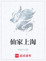 我其实只是一个客服封面
