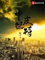 神探皮特封面