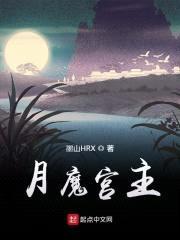 月魔宫主封面