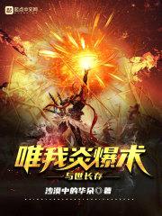 唯我炎爆术与世长存封面