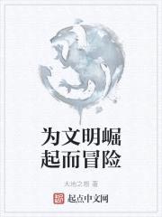 为文明崛起而冒险封面