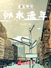 重生之似水流年封面
