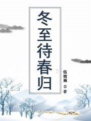 冬至待春归封面