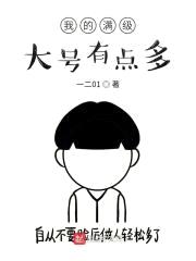我的满级大号有点多封面