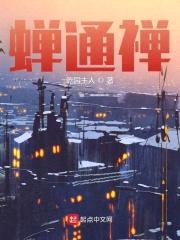 蝉通禅封面