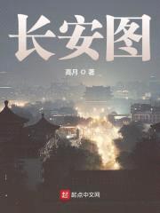 长安图封面