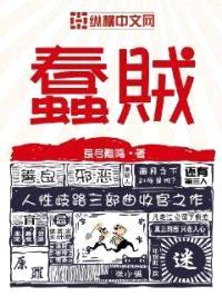 蠢贼封面