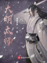 大明太师封面