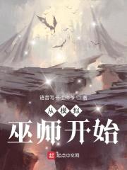 从模拟巫师开始封面