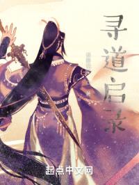 寻道启录封面