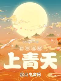 登峰造极上青天封面