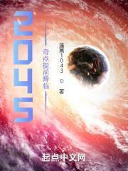 2045：奇点提前降临封面