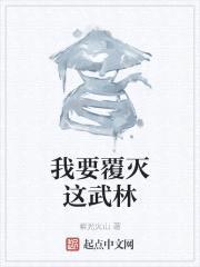 我要覆灭这武林封面