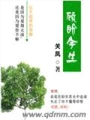 顾盼今生封面