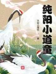纯阳小道童封面