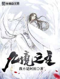 九境之主封面