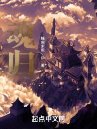 魂归封面
