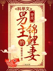 穿成科举文男主的锦鲤妻封面
