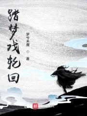 踏梦戏轮回封面