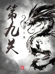 第九关封面