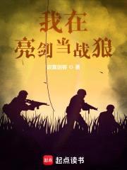 我在亮剑当战狼封面
