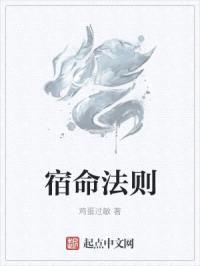 宿命法则封面