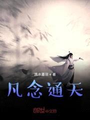 凡念通天封面