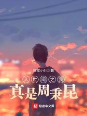 人世间之我真是周秉昆封面