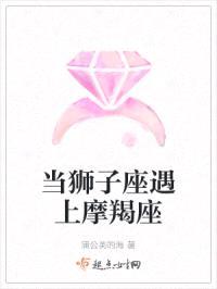 当狮子座遇上摩羯座封面