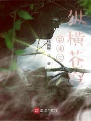 混沌之纵横苍穹封面