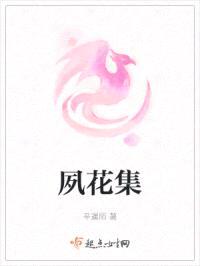 夙花集封面