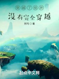 穿越了但并没有完全穿越封面