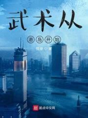 武术从港岛开始封面