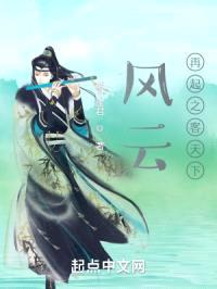 风云再起之客天下封面